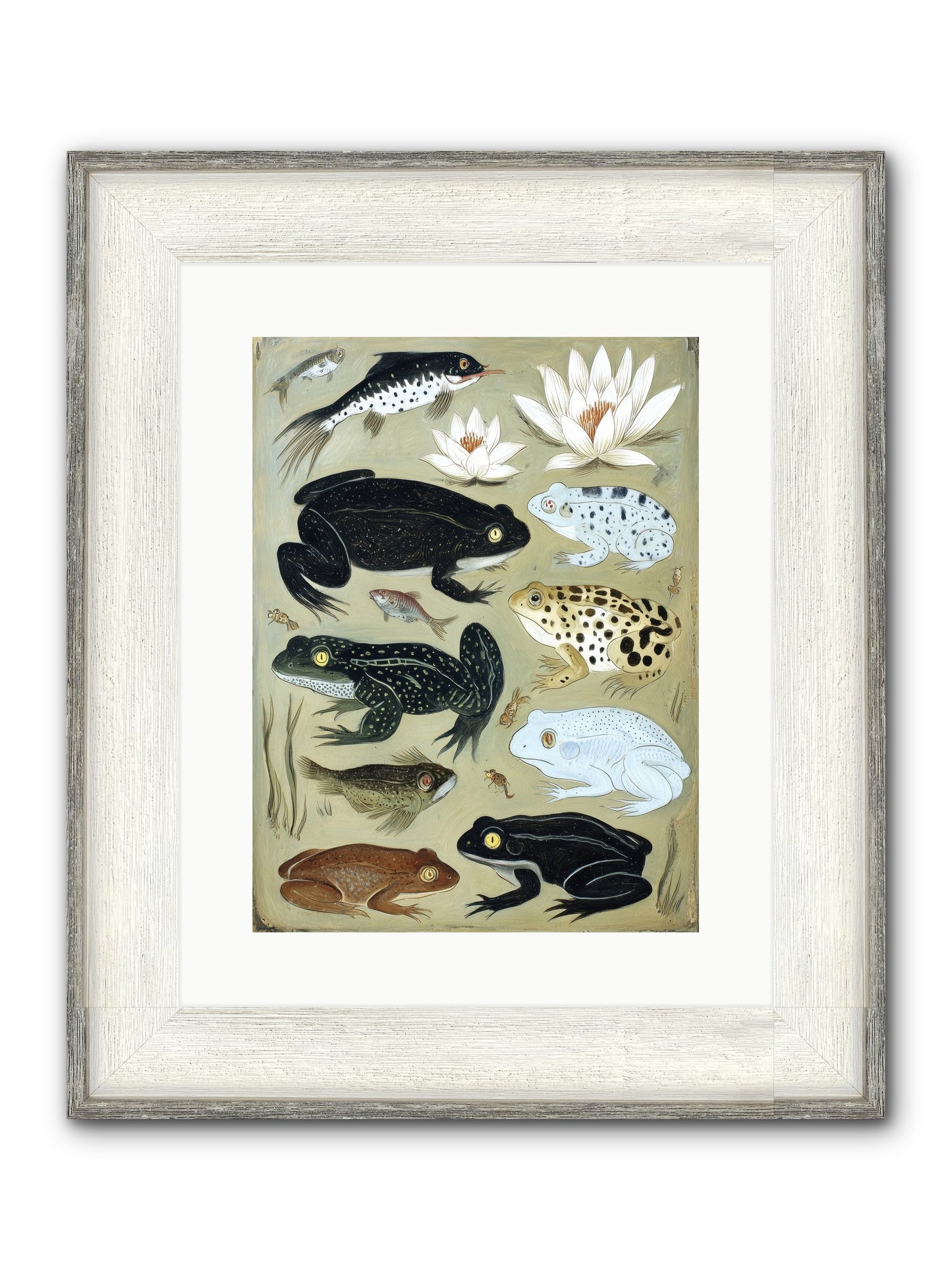 Surface Stories Framed Print - Driftwood White 12x16