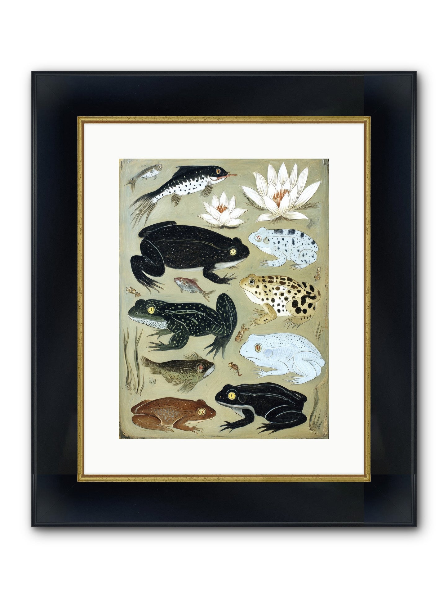 Surface Stories Framed Print - Wide Black w/Gold 12x16