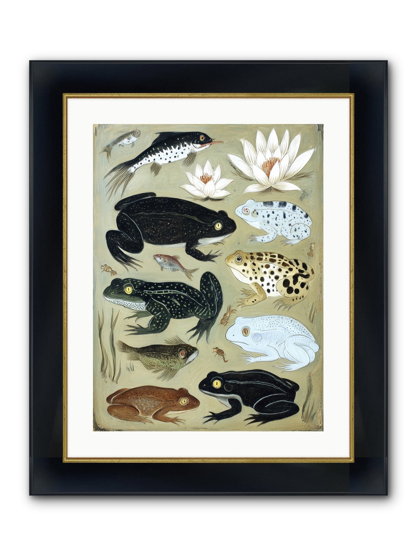 Surface Stories Framed Print - Wide Black w/Gold 18x24