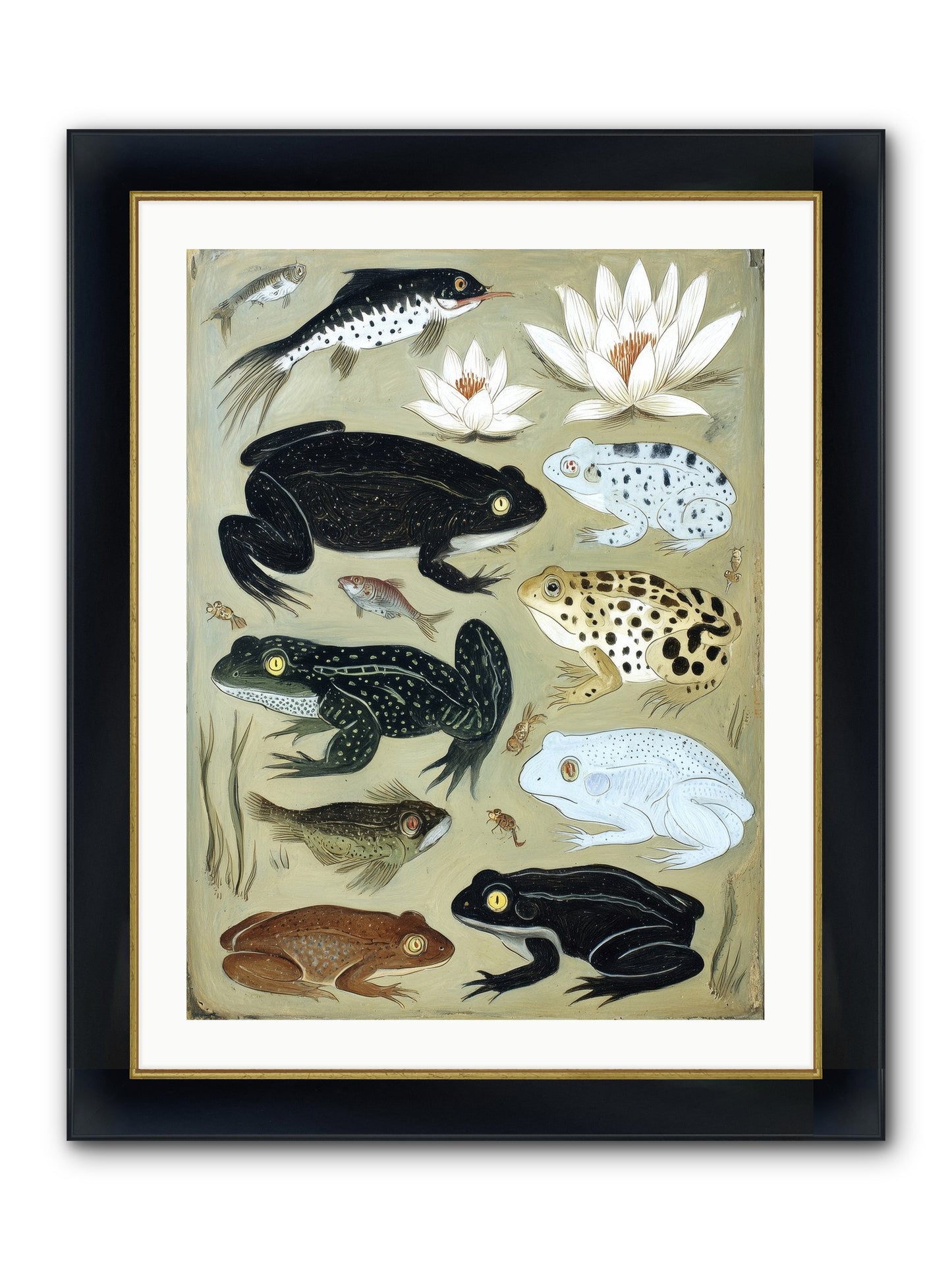 Surface Stories Framed Print - Wide Black w/Gold 24x32