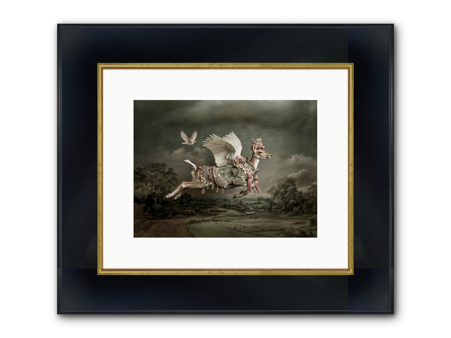 Tales From The Golden Acres Framed Print - Wide Black w/Gold 12x9