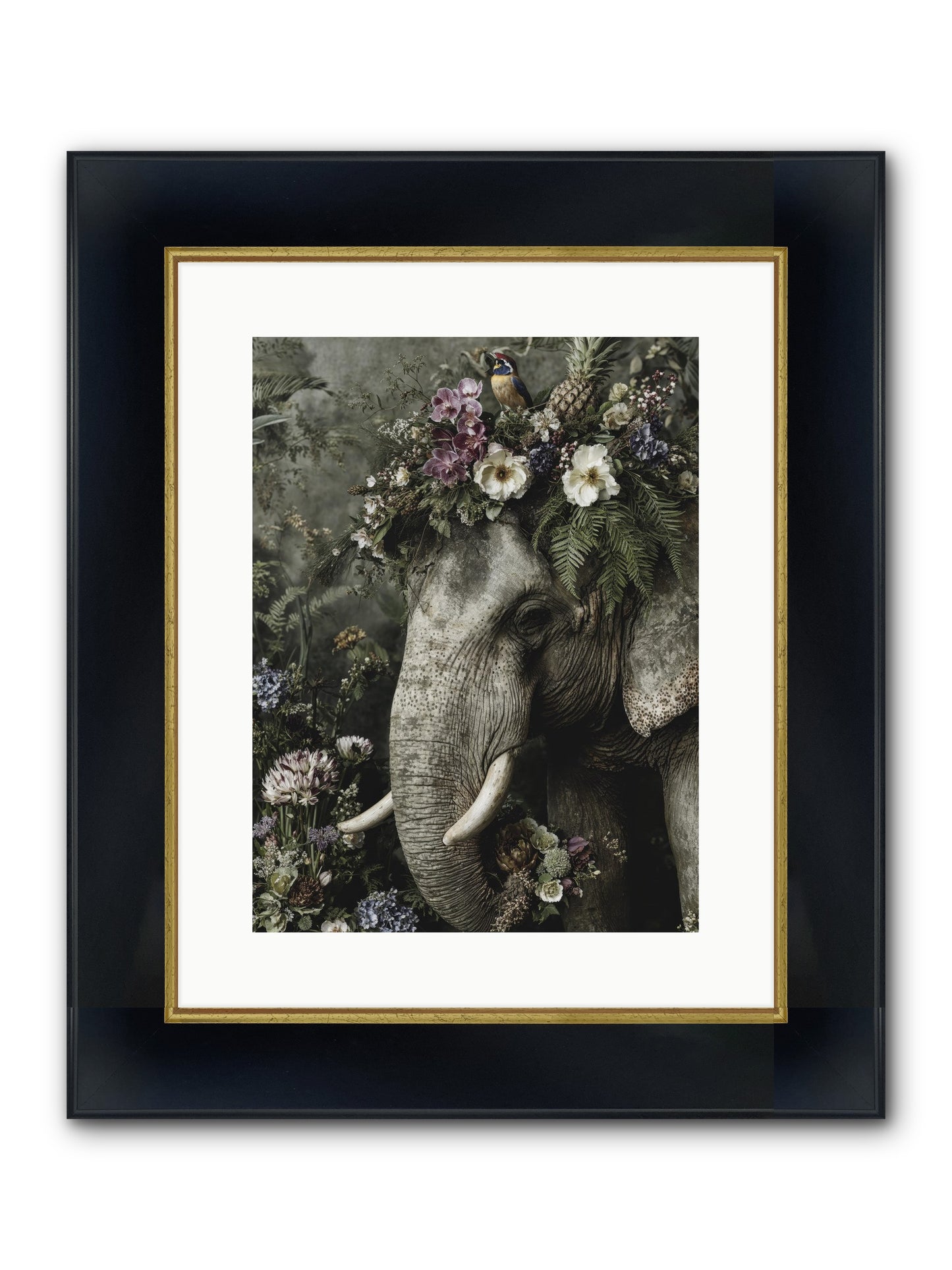 The Celestial Portrait Framed Print - Wide Black w/Gold 12x16