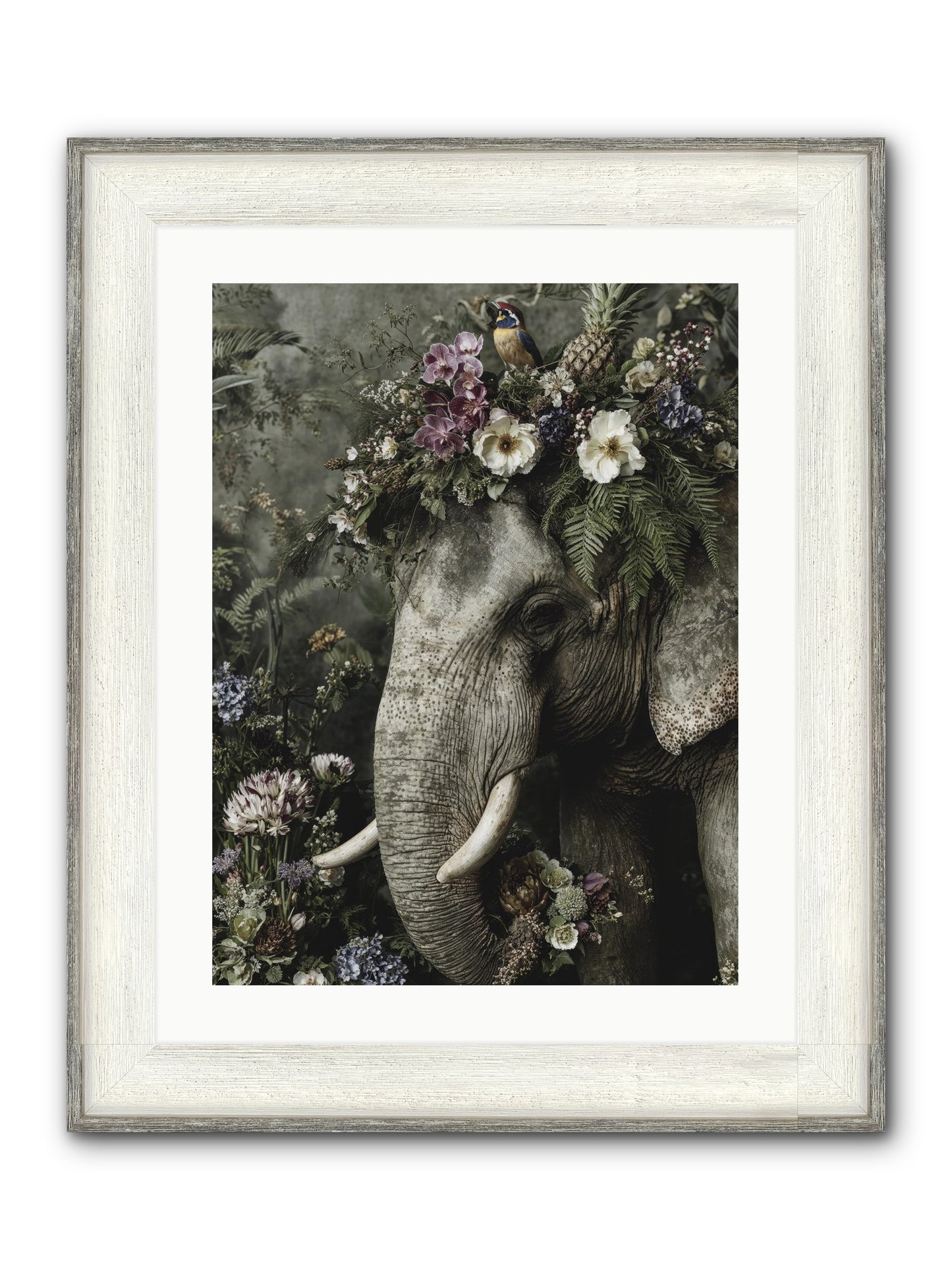 The Celestial Portrait Framed Print - Driftwood White 18x24