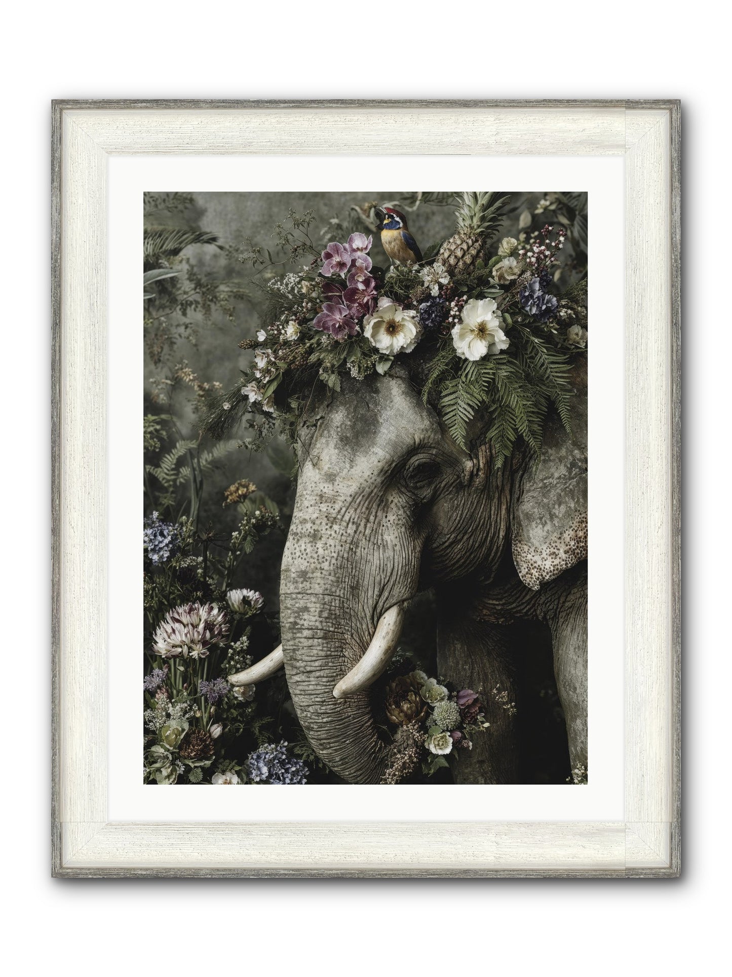 The Celestial Portrait Framed Print - Driftwood White 24x32