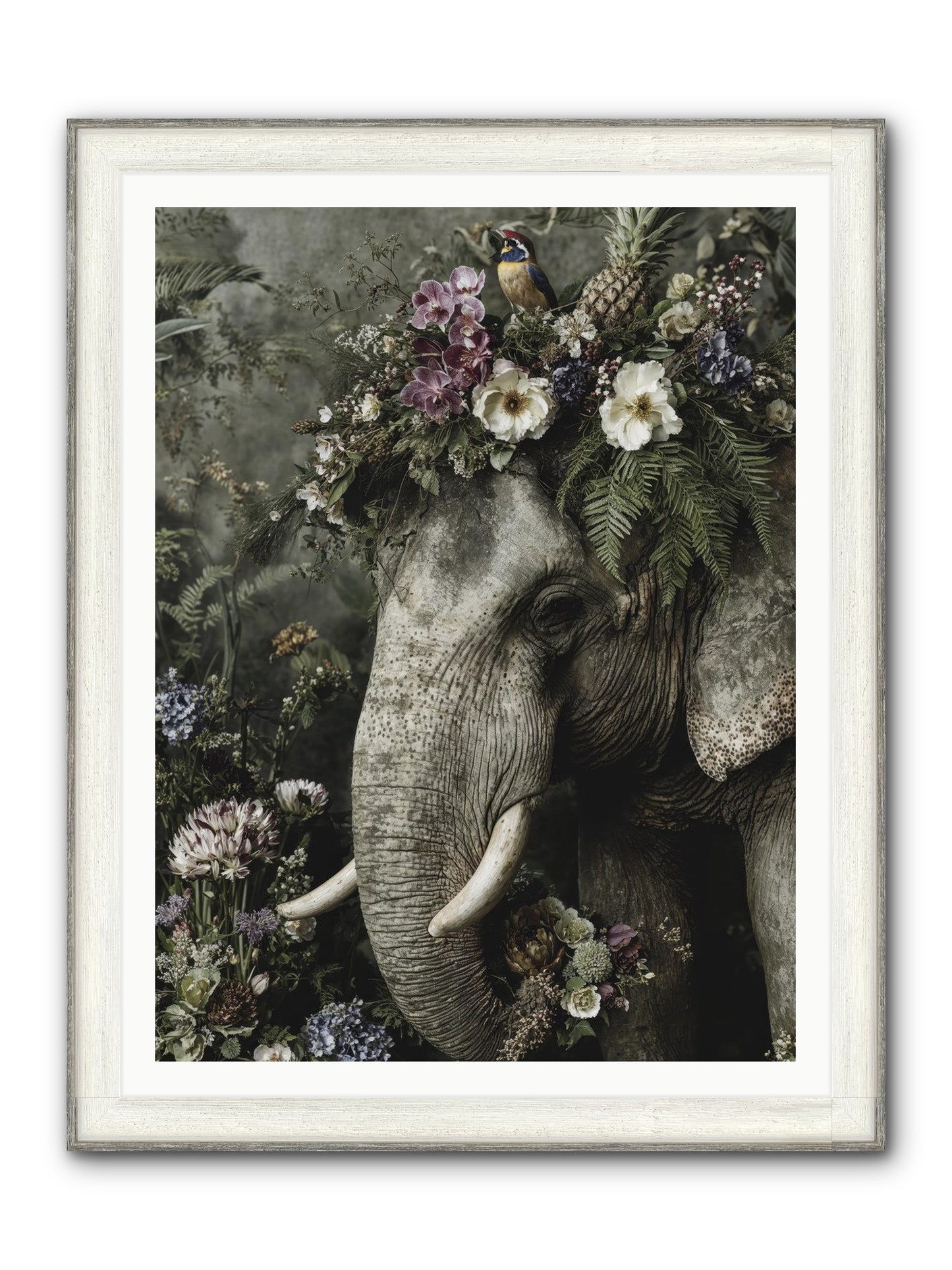 The Celestial Portrait Framed Print - Driftwood White 36x48