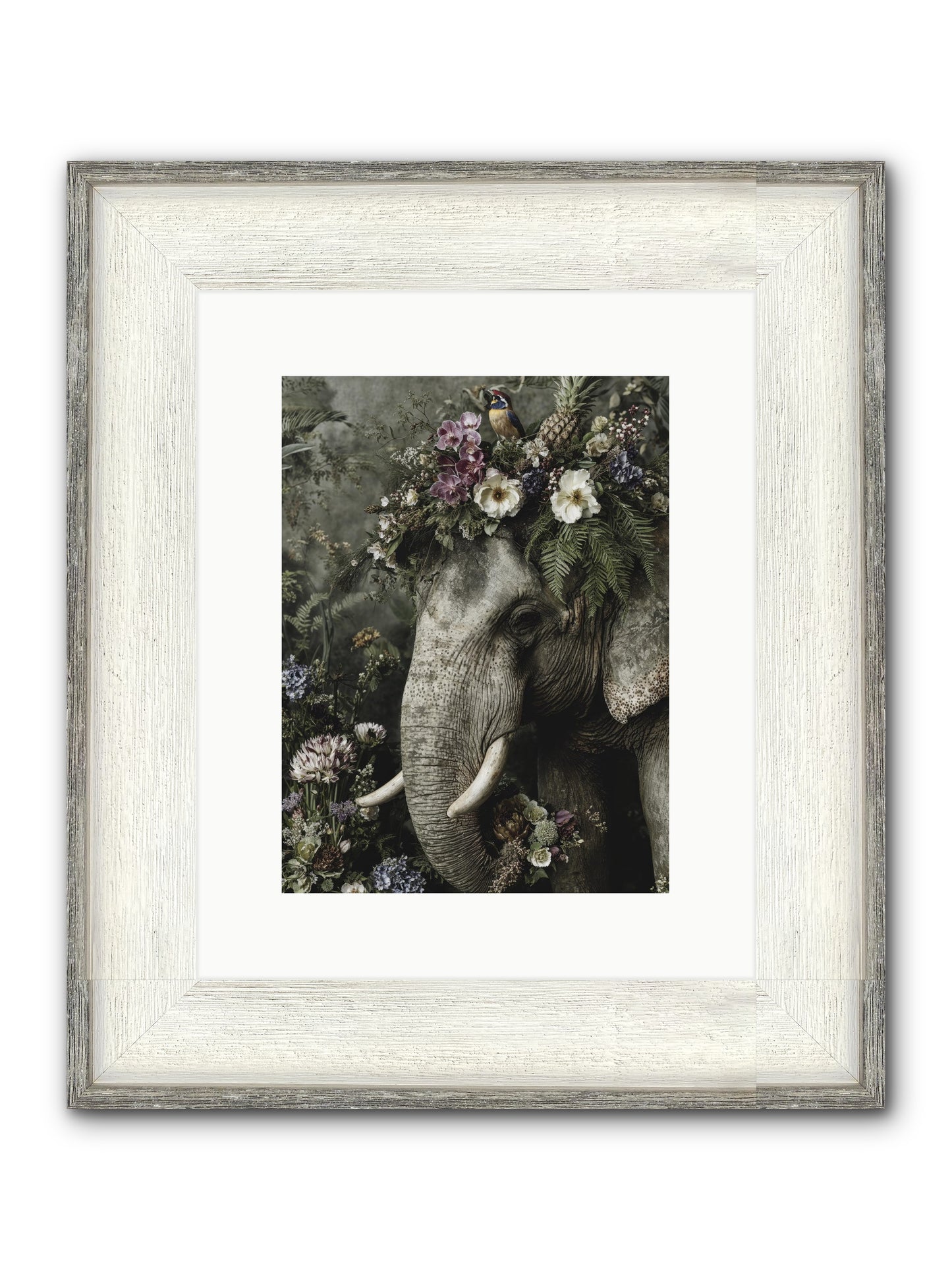 The Celestial Portrait Framed Print - Driftwood White 9x12