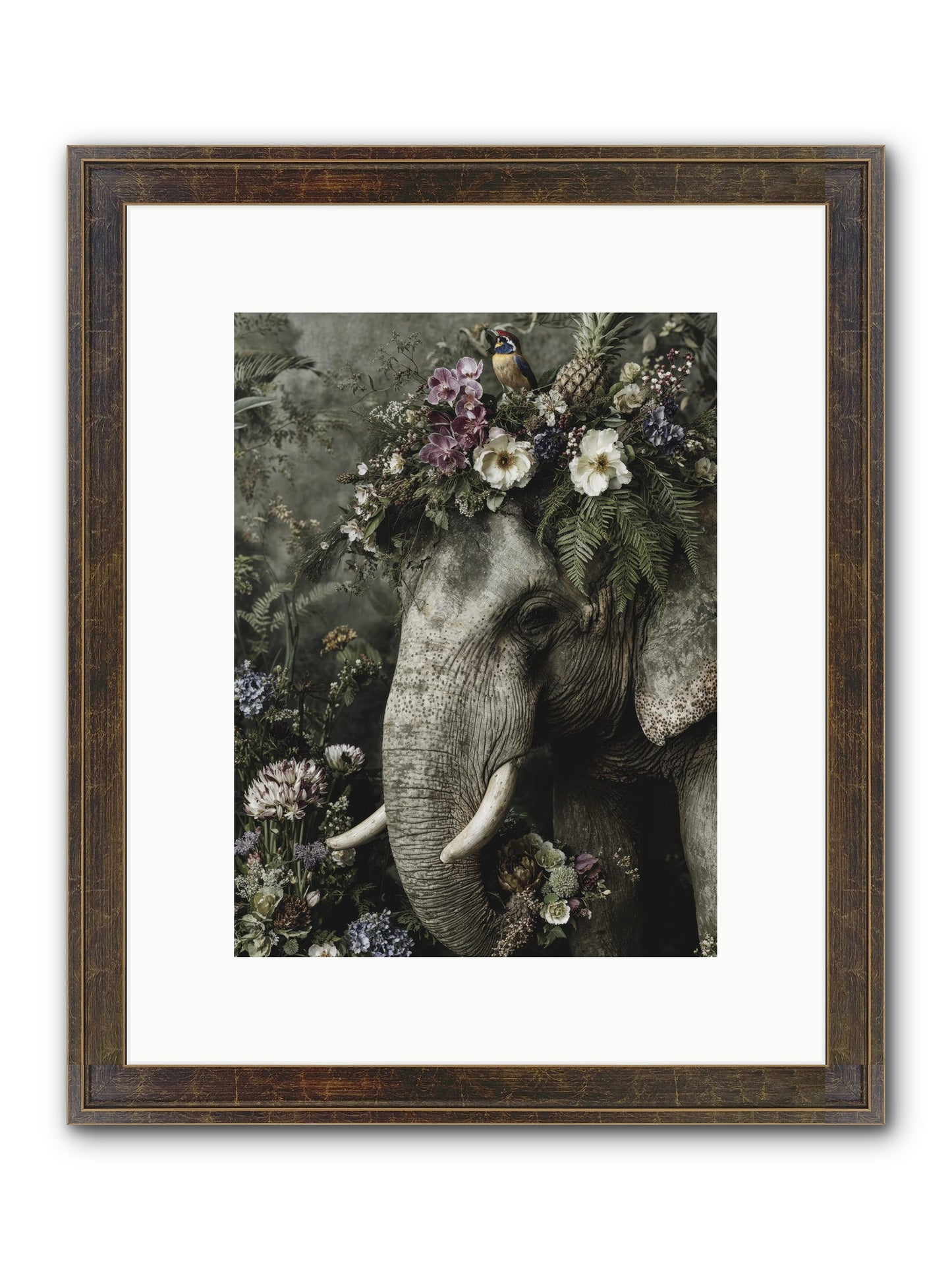 The Celestial Portrait Framed Print - Slimwoods Black/Gold 9x12