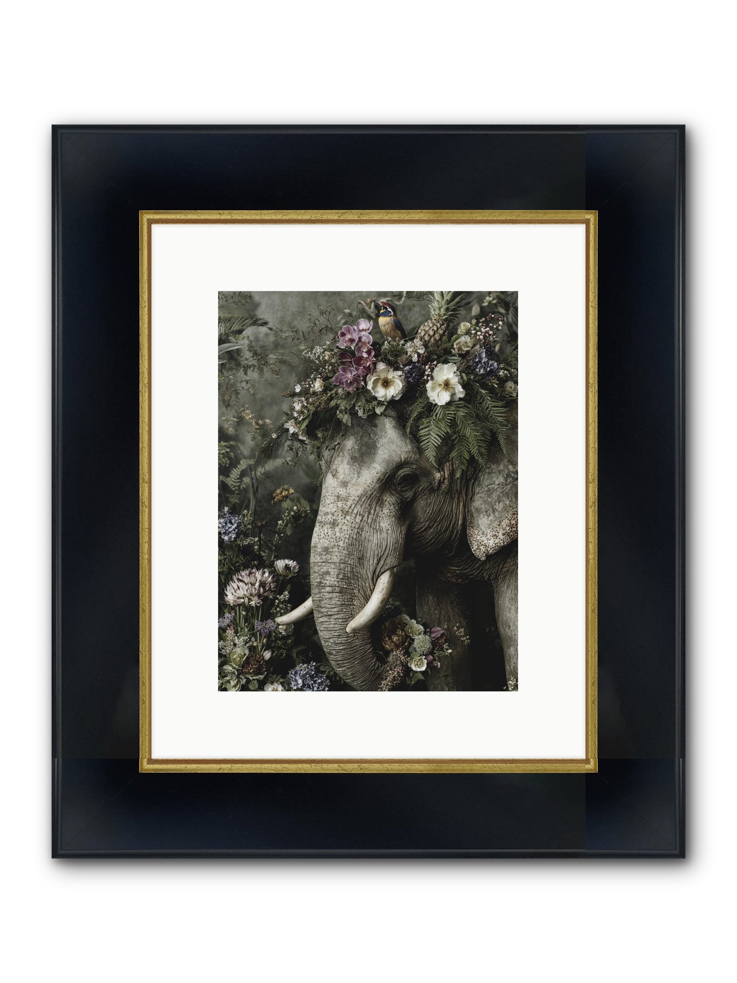 The Celestial Portrait Framed Print - Wide Black w/Gold 9x12