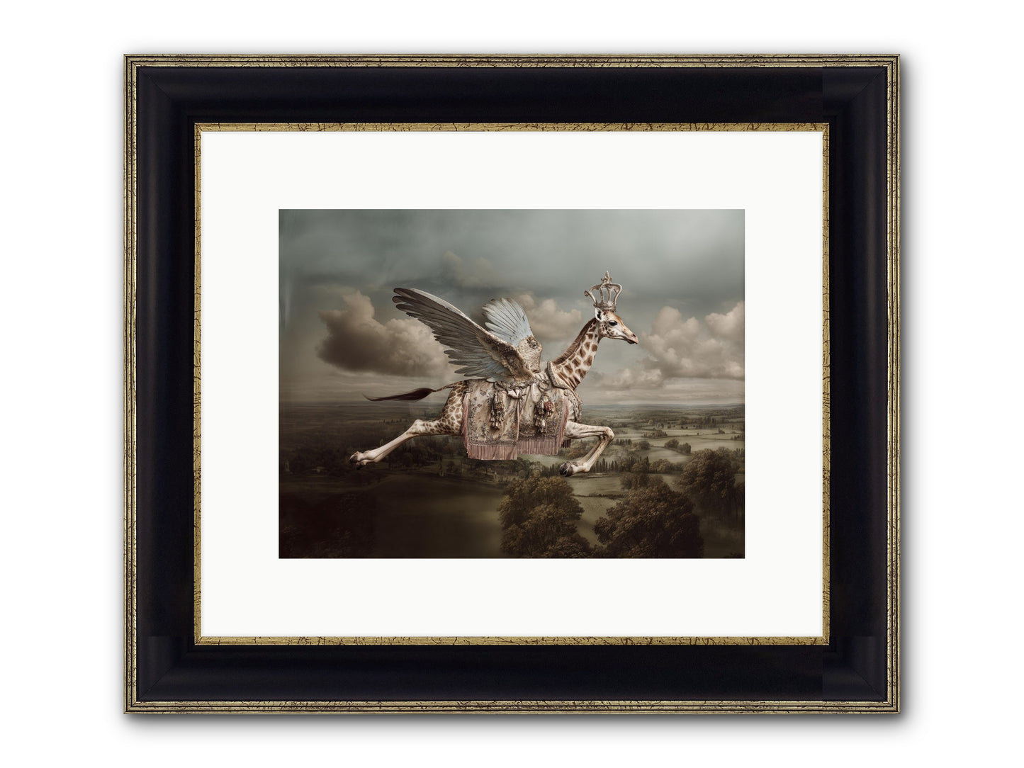 The Cloud Museum Framed Print - Black & Gold 12x9