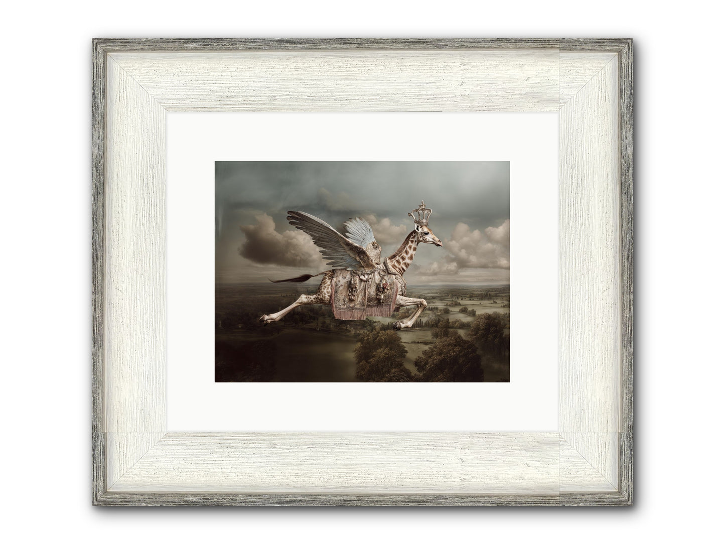 The Cloud Museum Framed Print - Driftwood White 12x9