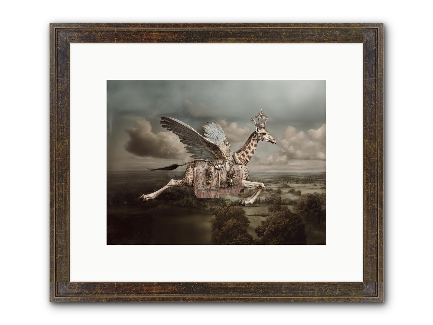 The Cloud Museum Framed Print - Slimwoods Black/Gold 12x9