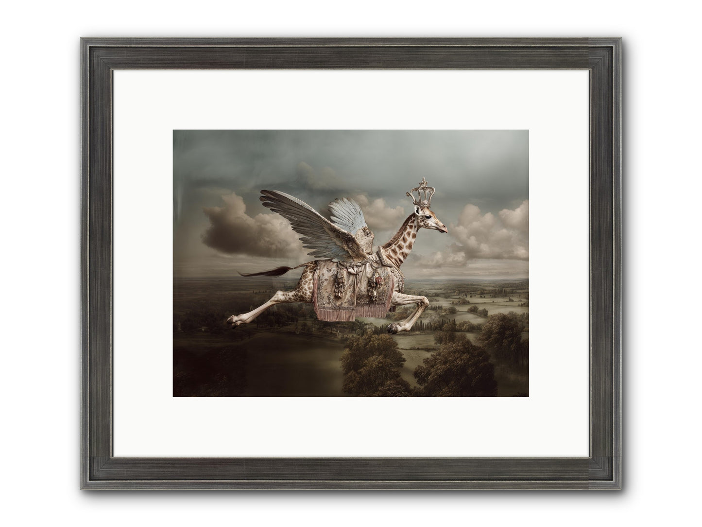The Cloud Museum Framed Print - Slimwoods Black/Silver 12x9