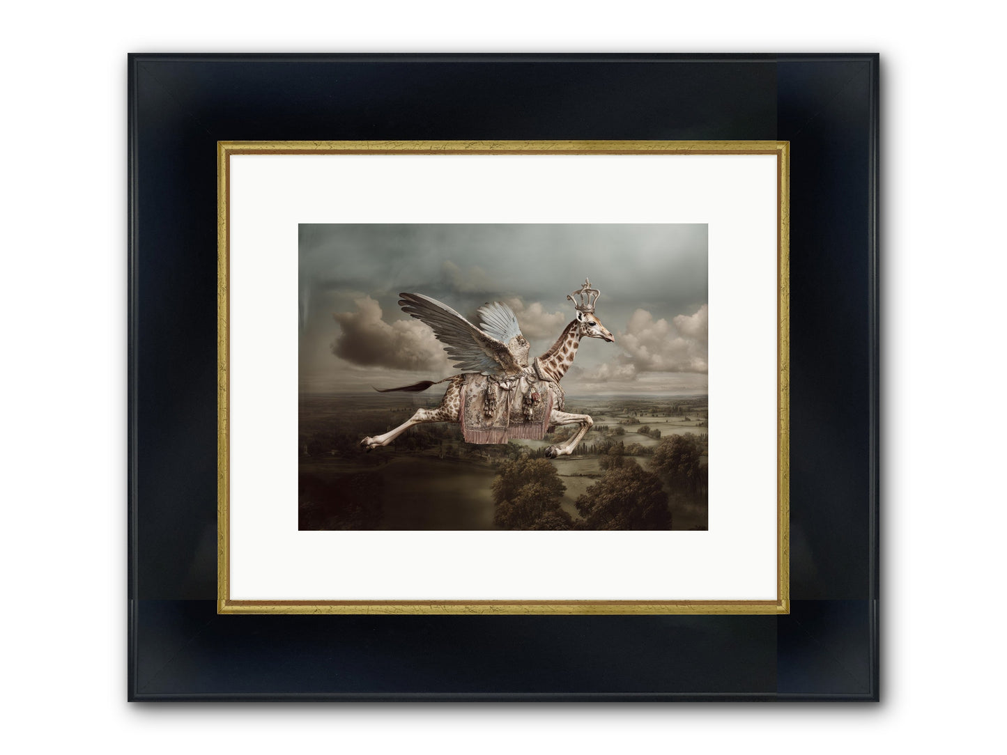 The Cloud Museum Framed Print - Wide Black w/Gold 12x9