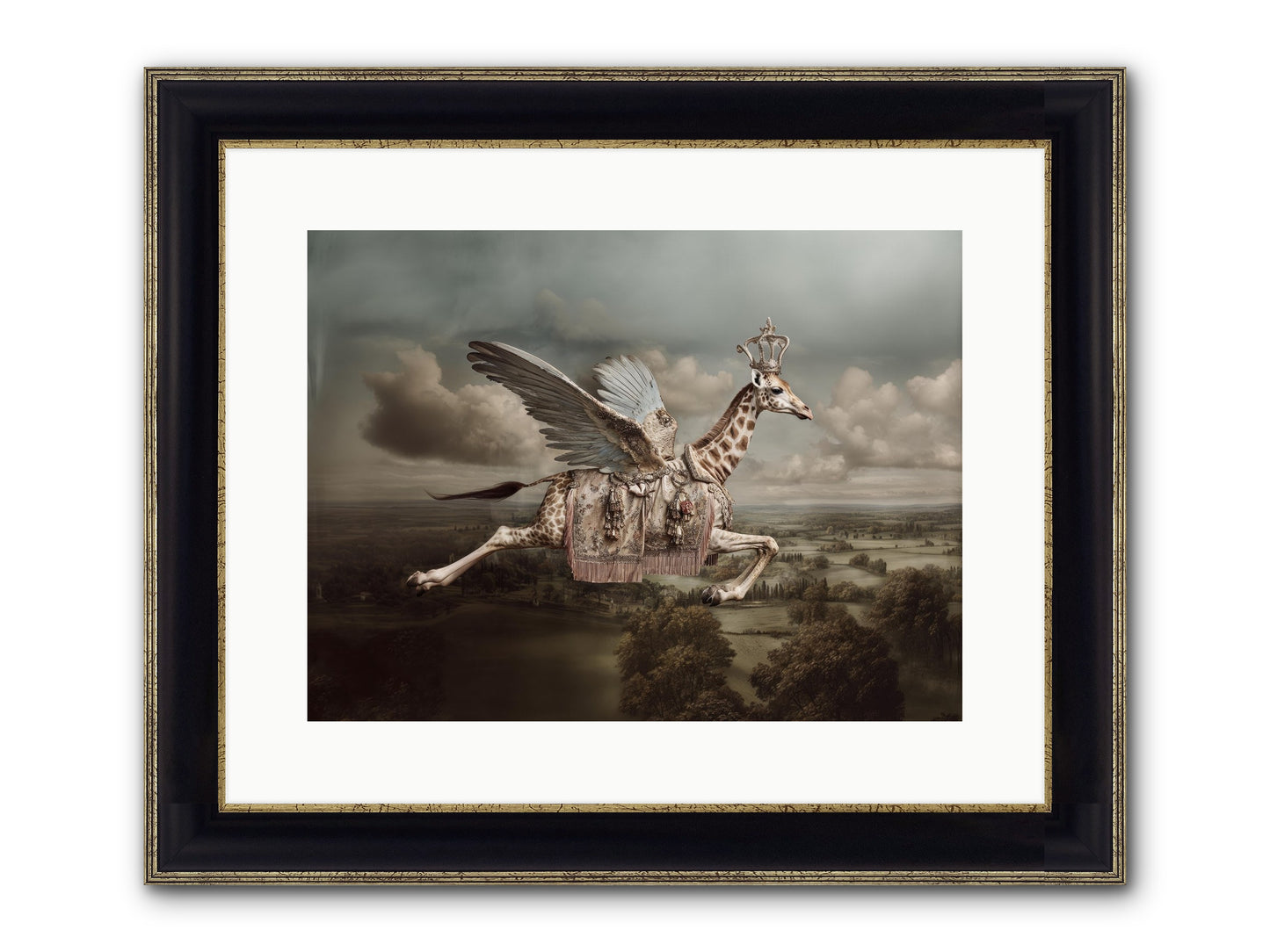 The Cloud Museum Framed Print - Black & Gold 16x12