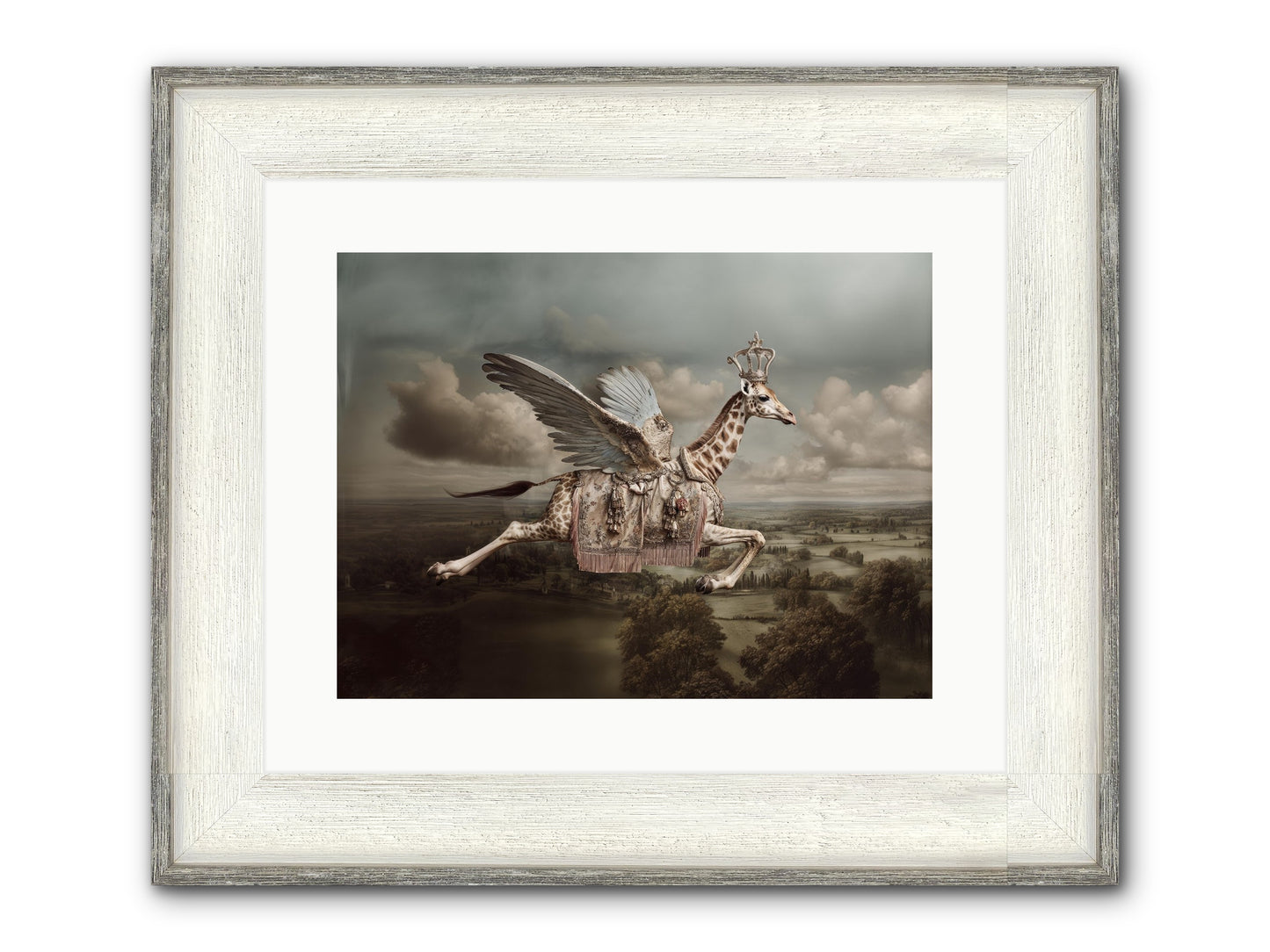 The Cloud Museum Framed Print - Driftwood White 16x12