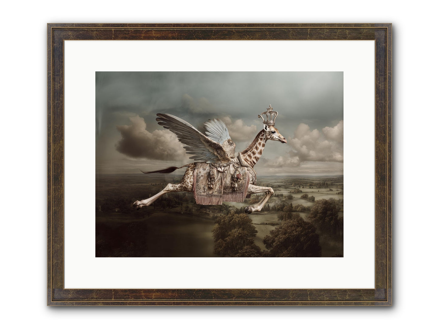 The Cloud Museum Framed Print - Slimwoods Black/Gold 16x12