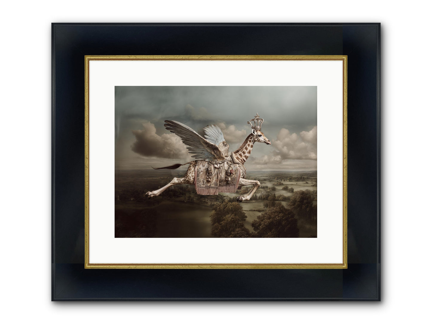 The Cloud Museum Framed Print - Wide Black w/Gold 16x12