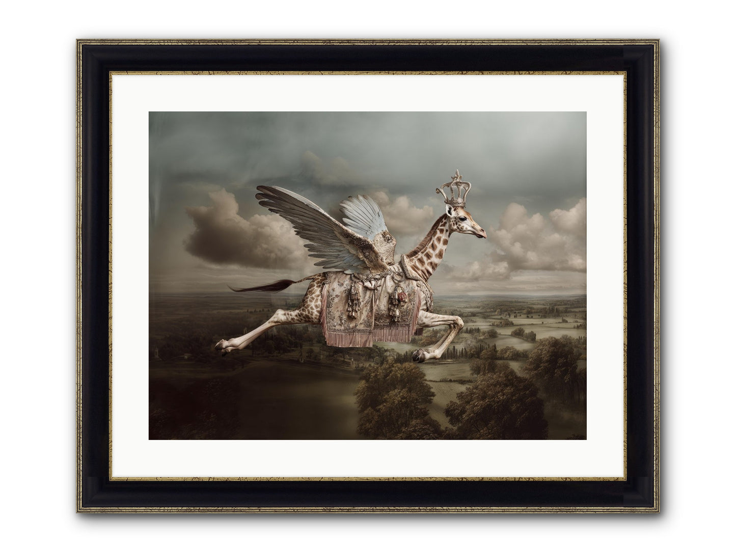 The Cloud Museum Framed Print - Black & Gold 24x18