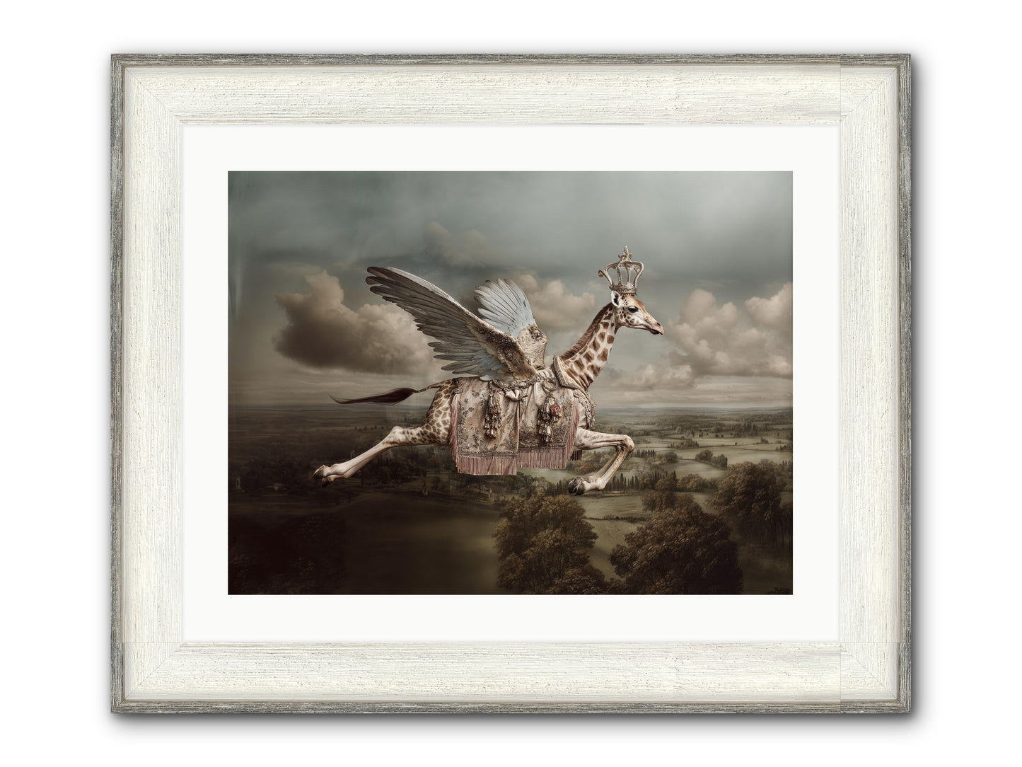 The Cloud Museum Framed Print - Driftwood White 24x18