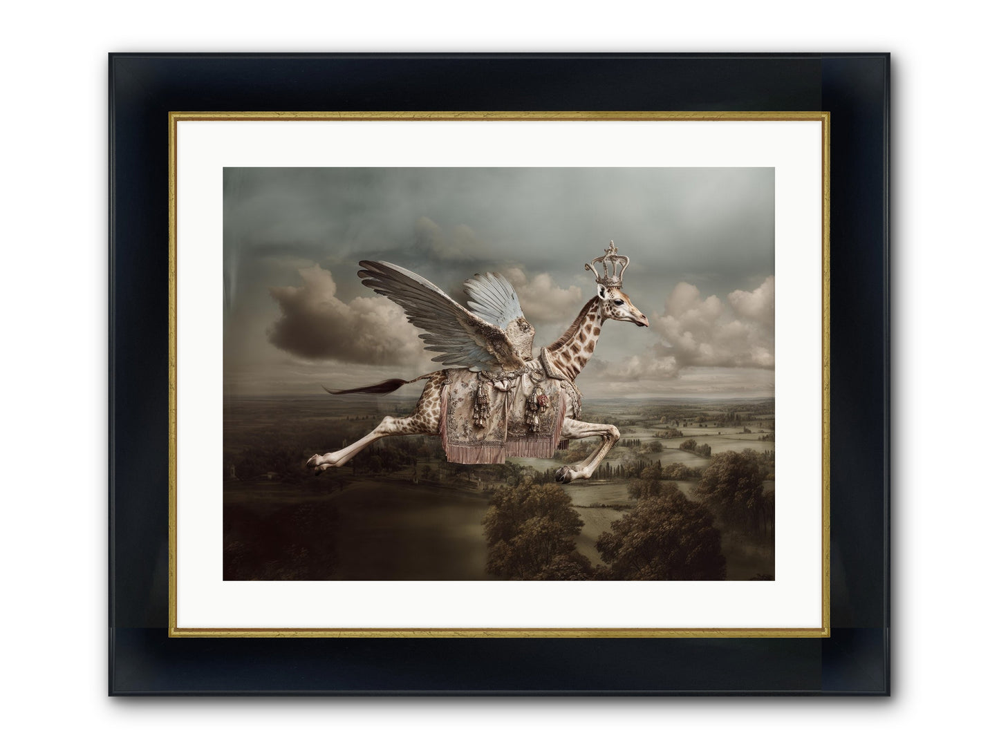 The Cloud Museum Framed Print - Wide Black w/Gold 24x18