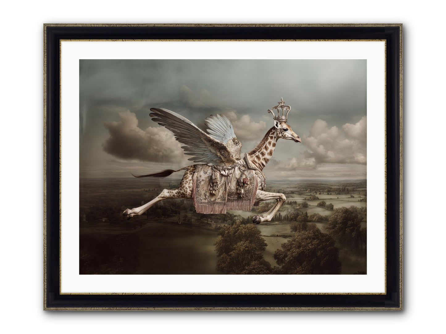 The Cloud Museum Framed Print - Black & Gold 32x24