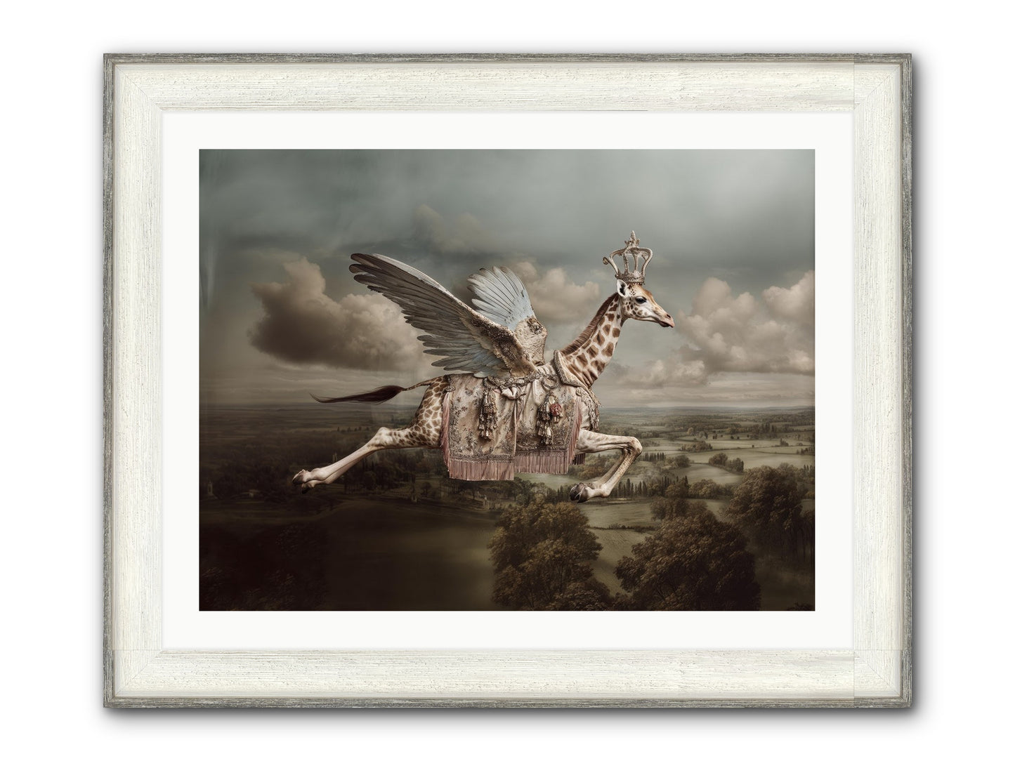 The Cloud Museum Framed Print - Driftwood White 32x24