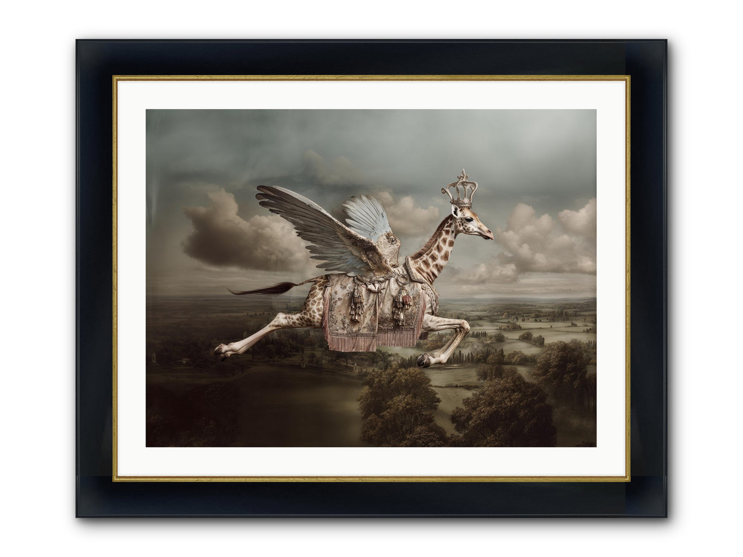 The Cloud Museum Framed Print - Wide Black w/Gold 32x24
