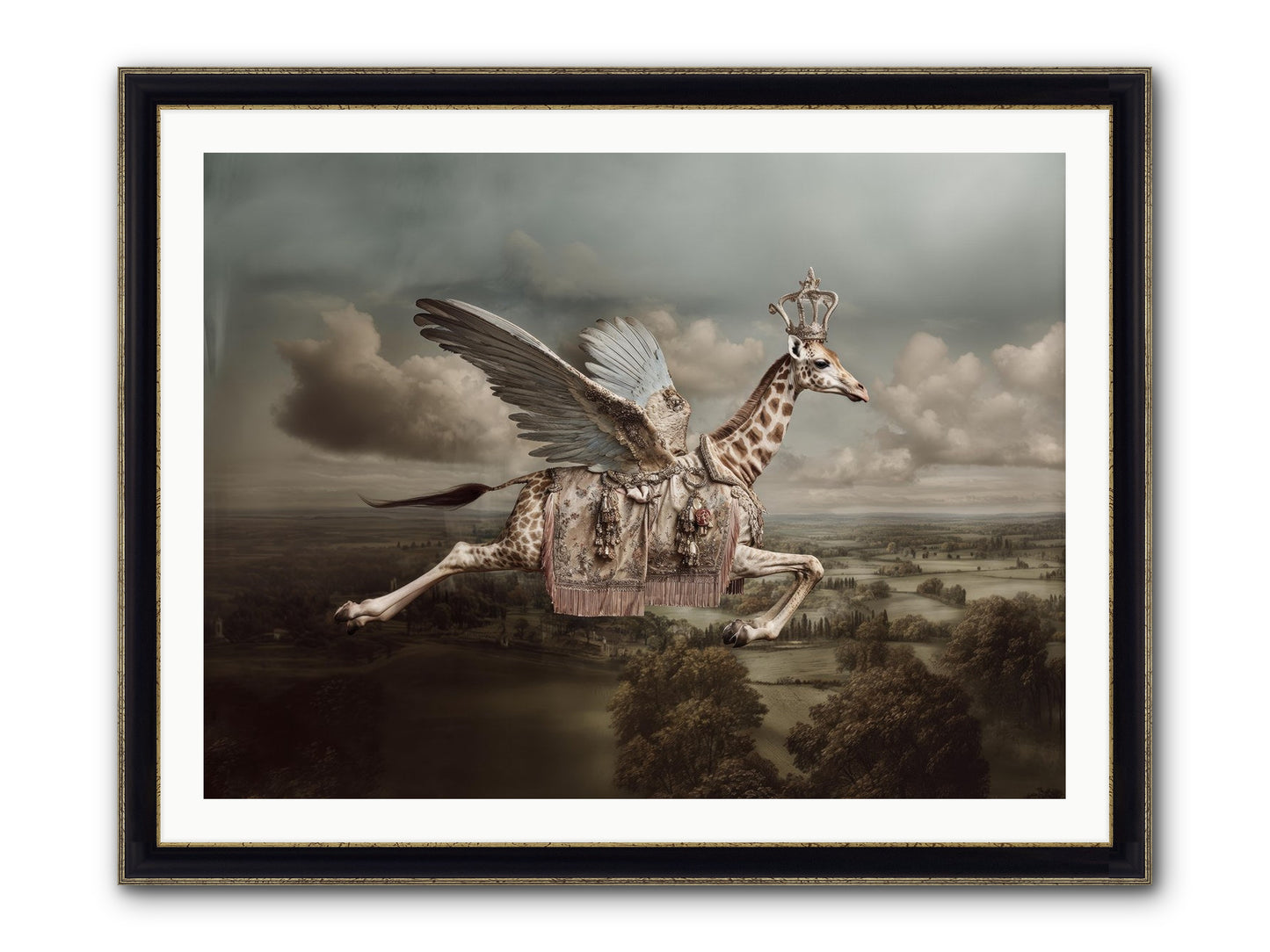 The Cloud Museum Framed Print - Black & Gold 40x30
