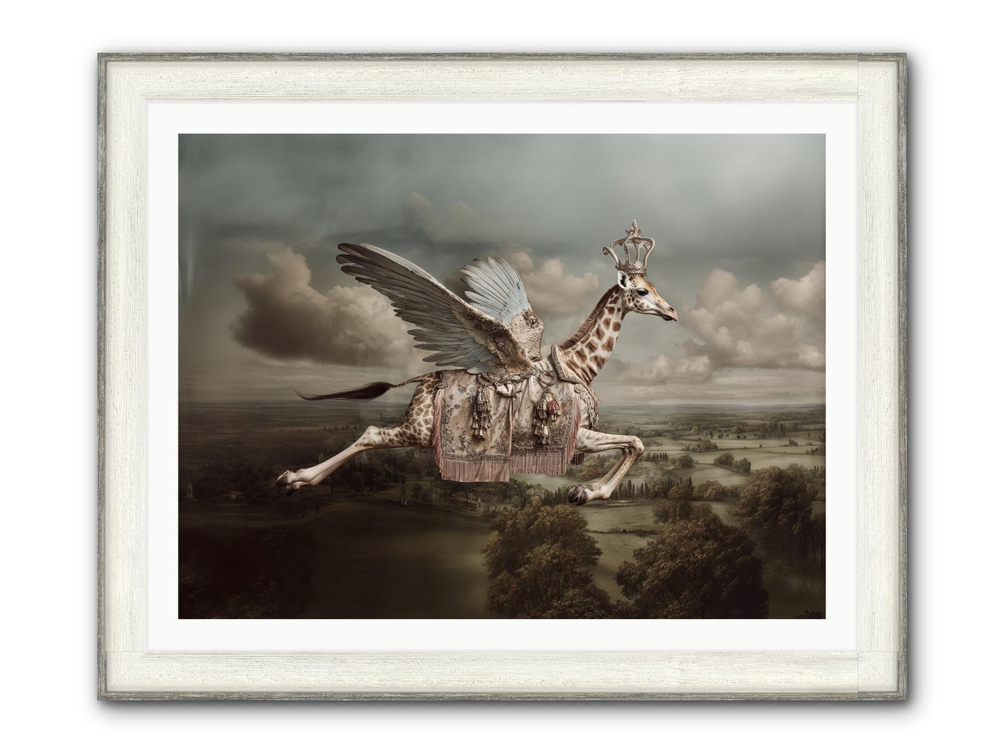 The Cloud Museum Framed Print - Driftwood White 40x30