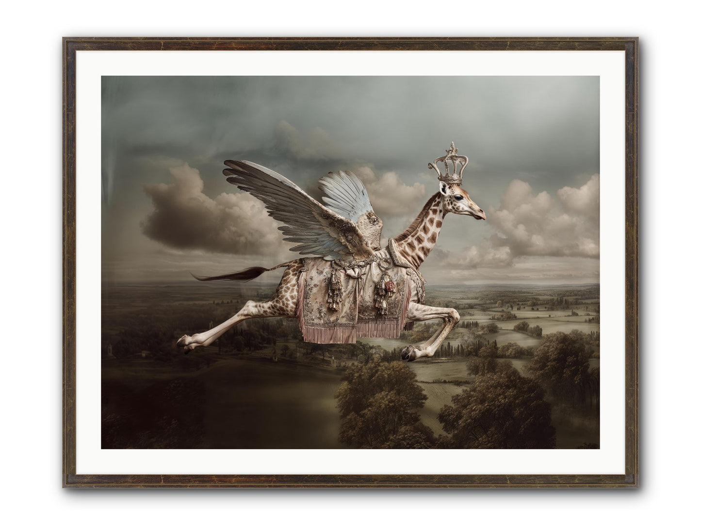 The Cloud Museum Framed Print - Slimwoods Black/Gold 40x30