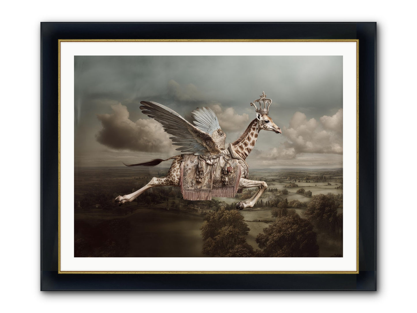 The Cloud Museum Framed Print - Wide Black w/Gold 40x30
