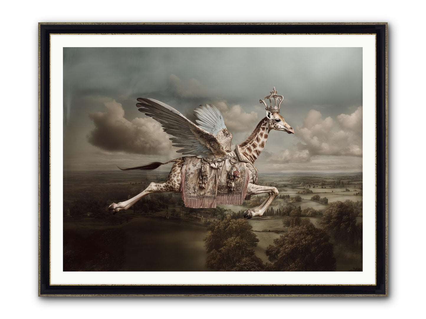 The Cloud Museum Framed Print - Black & Gold 48x36