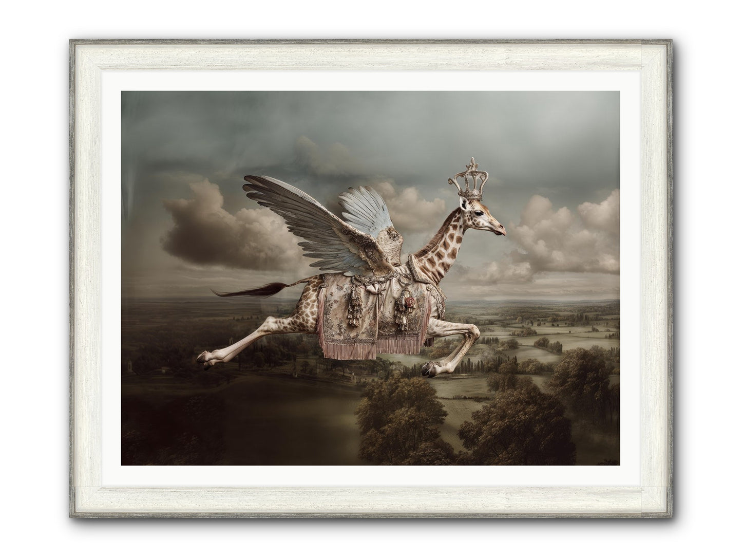 The Cloud Museum Framed Print - Driftwood White 48x36