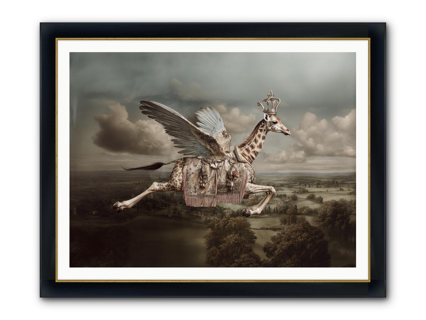 The Cloud Museum Framed Print - Wide Black w/Gold 48x36
