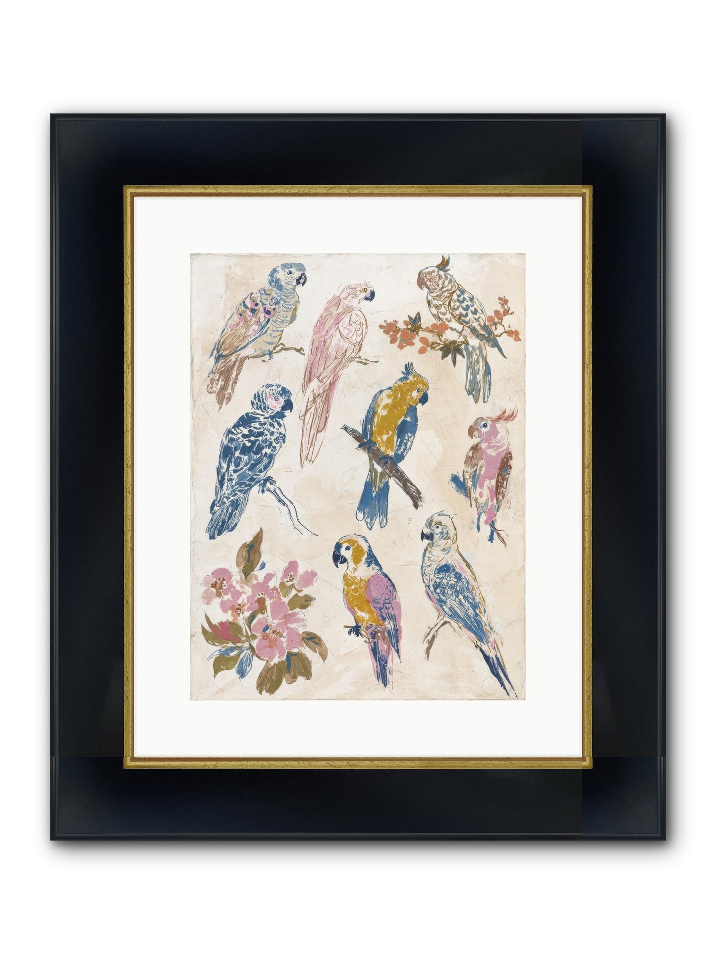 The Gentlewoman’s Cartography Club Framed Print - Wide Black w/Gold 12x16
