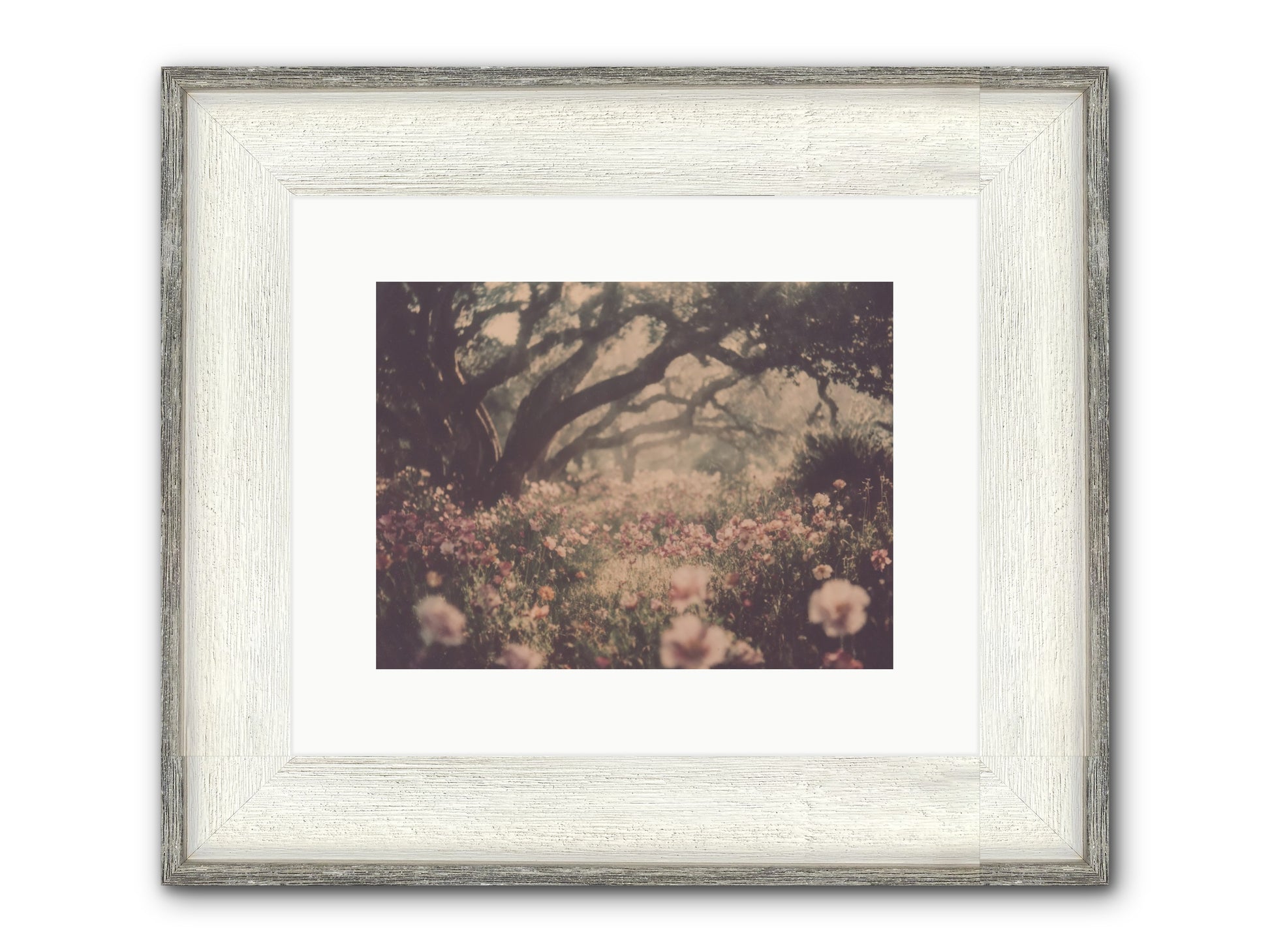 The Sweet Detour Framed Print - Driftwood White 12x9