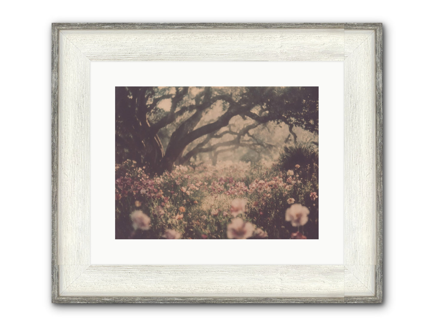 The Sweet Detour Framed Print - Driftwood White 16x12