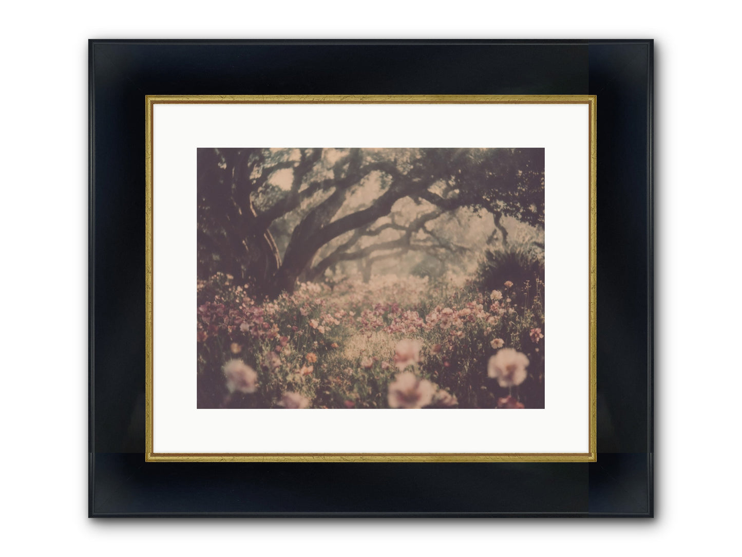 The Sweet Detour Framed Print - Wide Black w/Gold 16x12