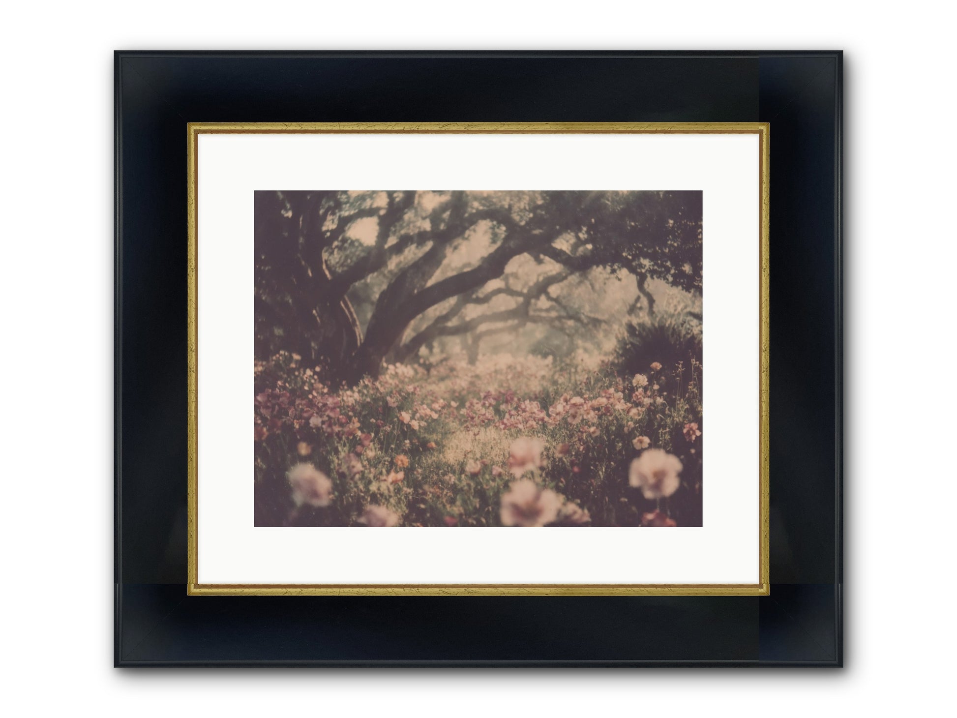 The Sweet Detour Framed Print - Wide Black w/Gold 16x12