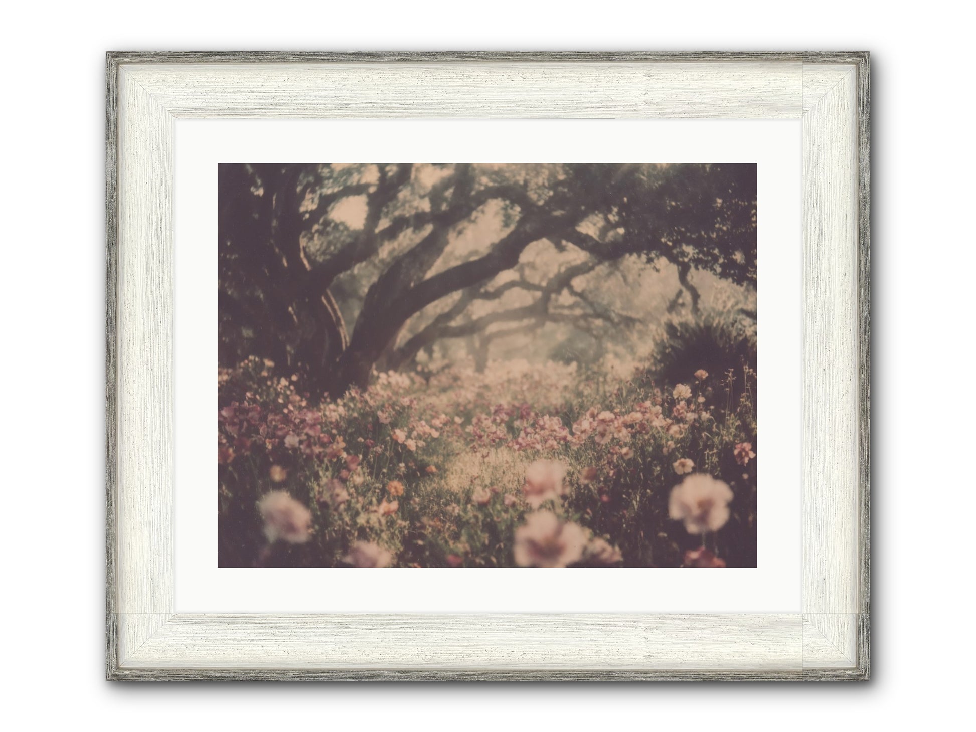 The Sweet Detour Framed Print - Driftwood White 24x18