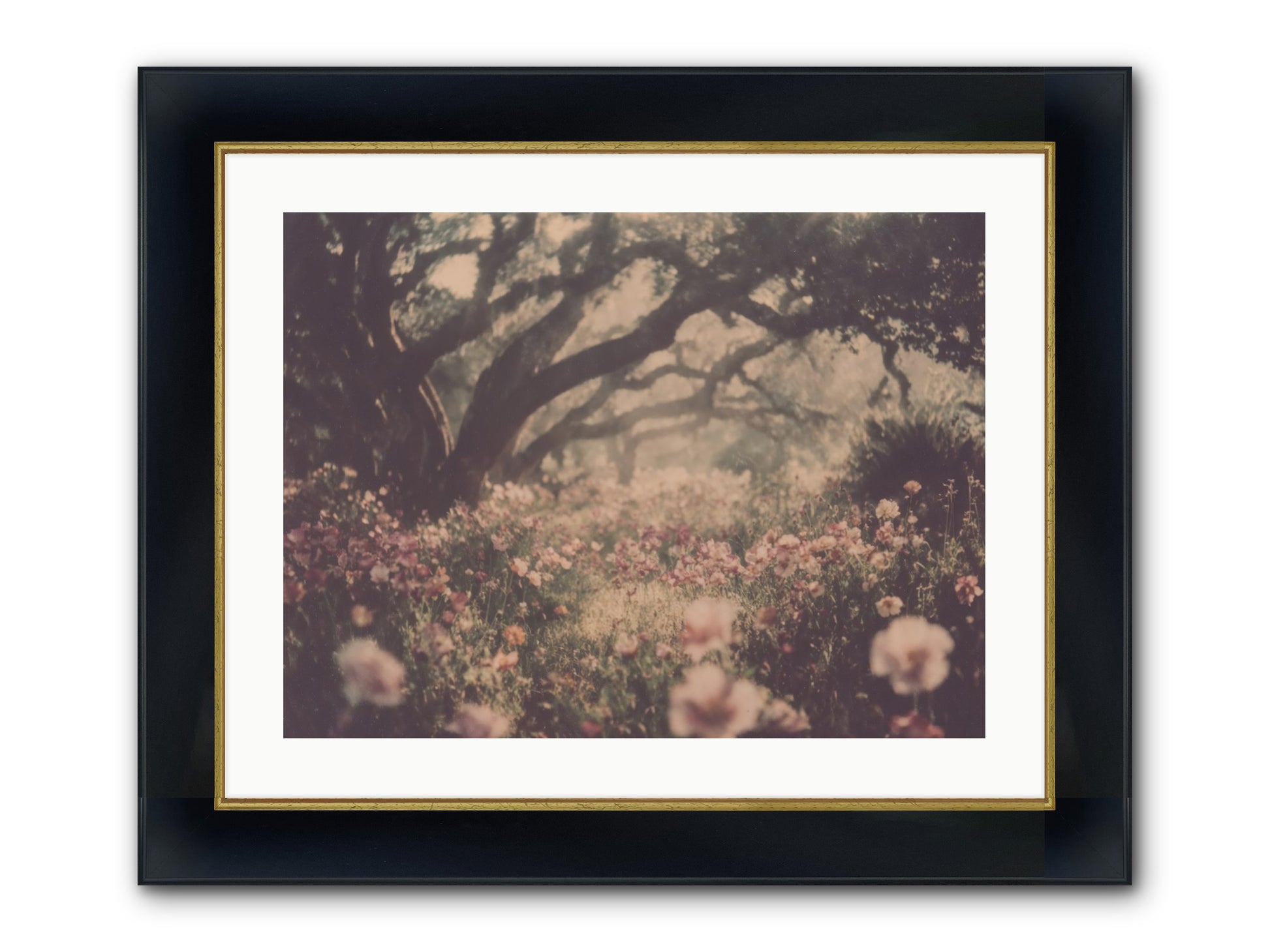 The Sweet Detour Framed Print - Wide Black w/Gold 24x18