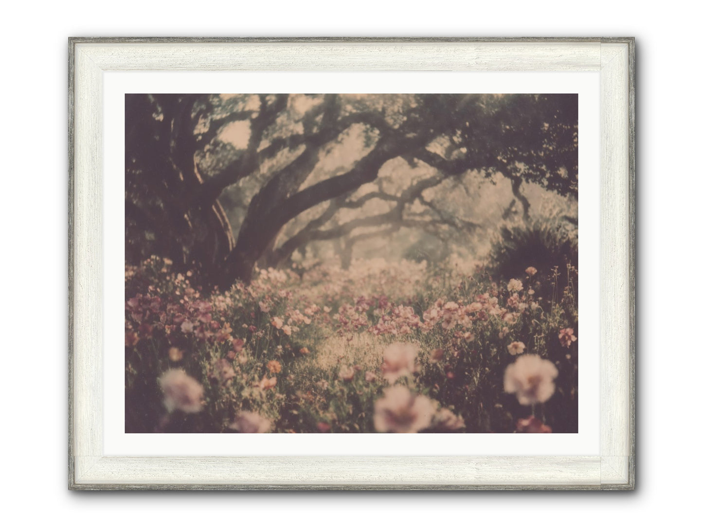 The Sweet Detour Framed Print - Driftwood White 40x30