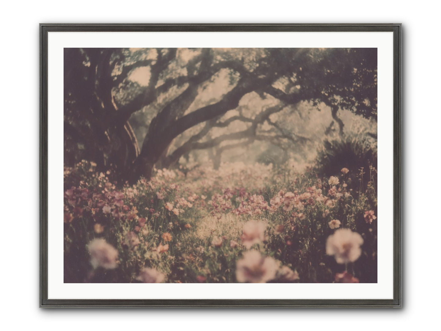 The Sweet Detour Framed Print - Slimwoods Black/Silver 40x30