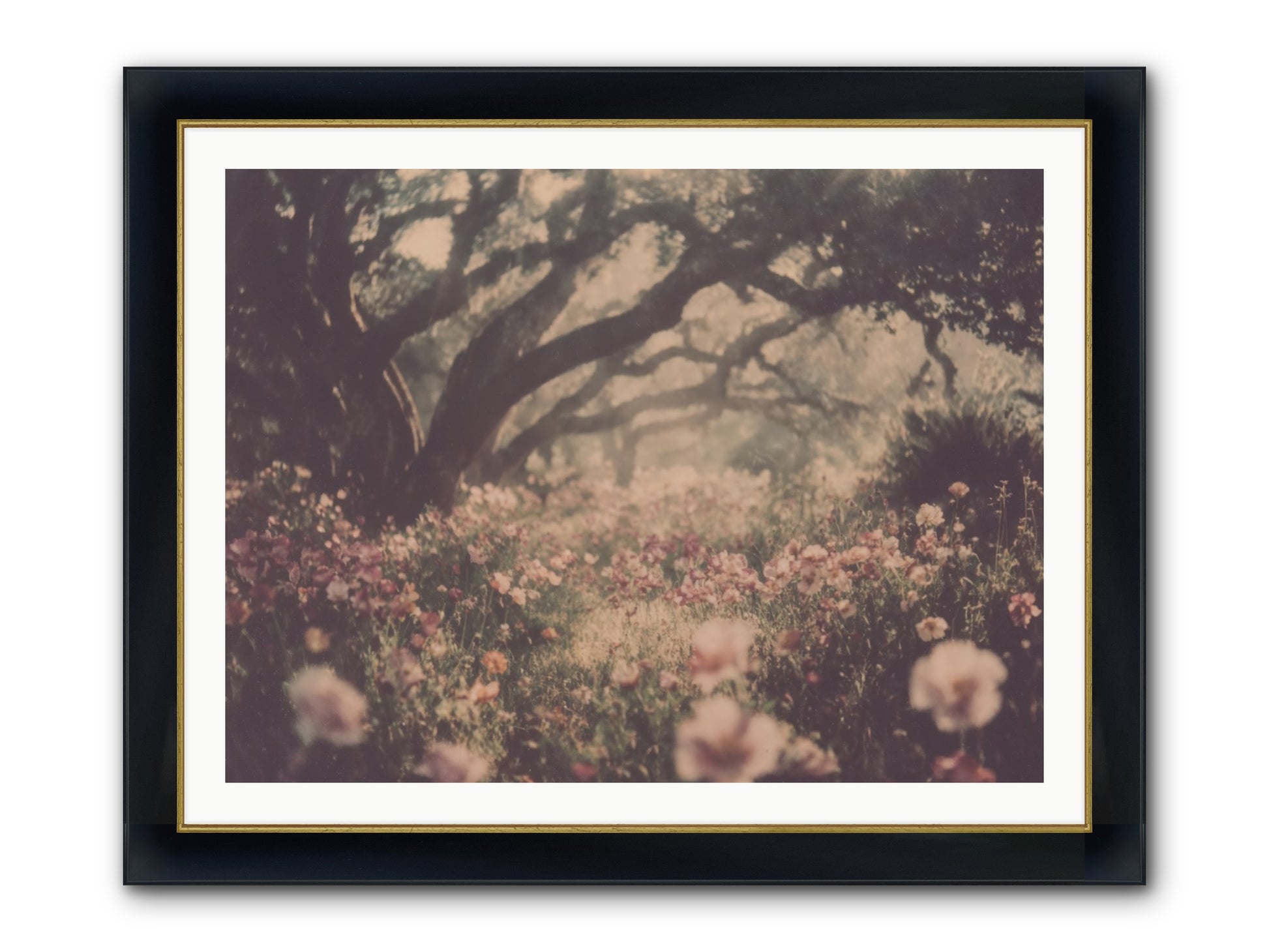 The Sweet Detour Framed Print - Wide Black w/Gold 40x30