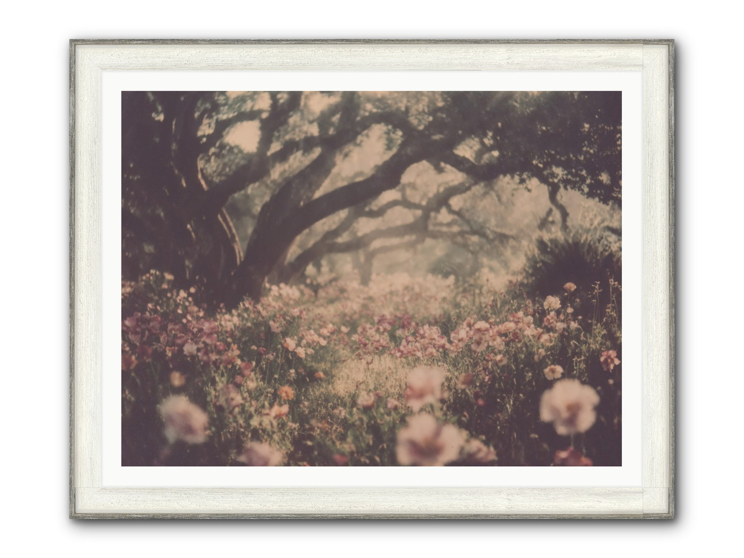 The Sweet Detour Framed Print - Driftwood White 48x36