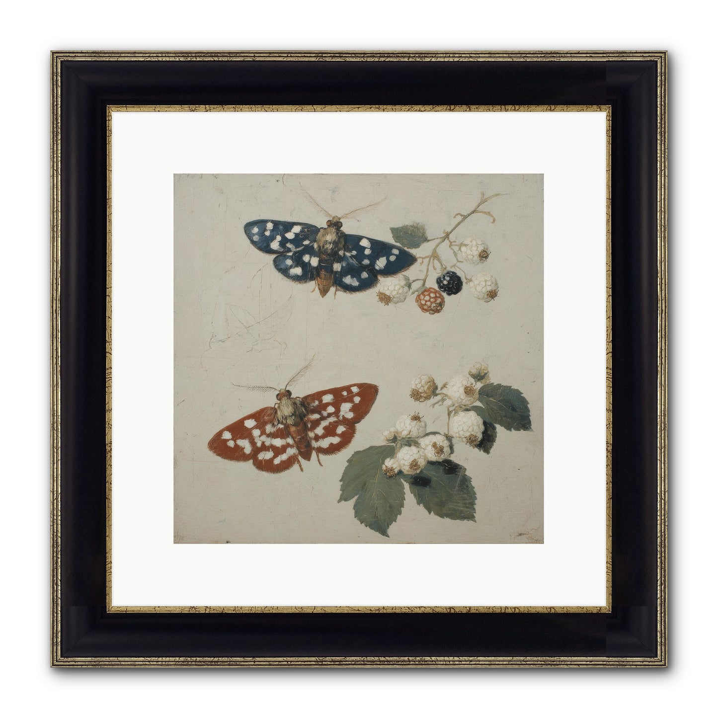 The Thickets Whispered Tales Framed Print - Black & Gold 12x12