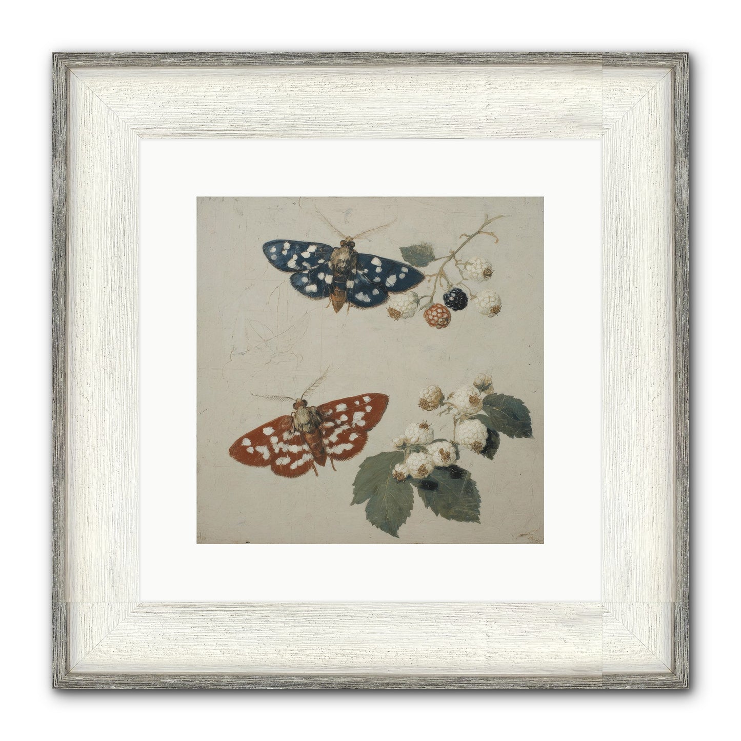 The Thickets Whispered Tales Framed Print - Driftwood White 12x12