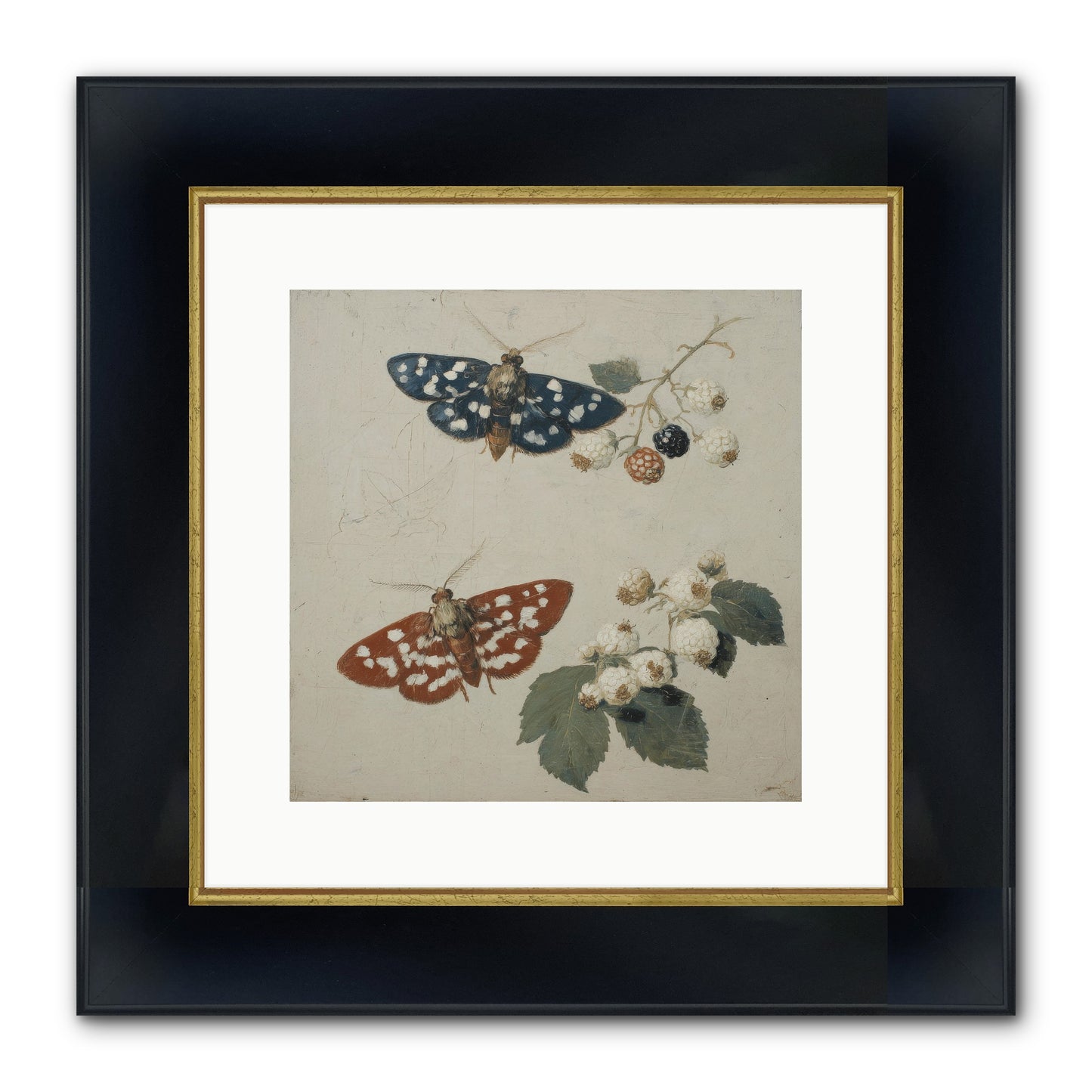 The Thickets Whispered Tales Framed Print - Wide Black w/Gold 12x12