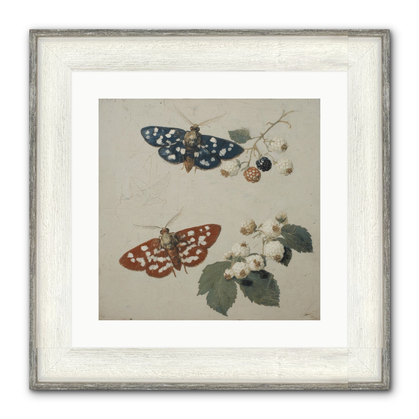 The Thickets Whispered Tales Framed Print - Driftwood White 16x16