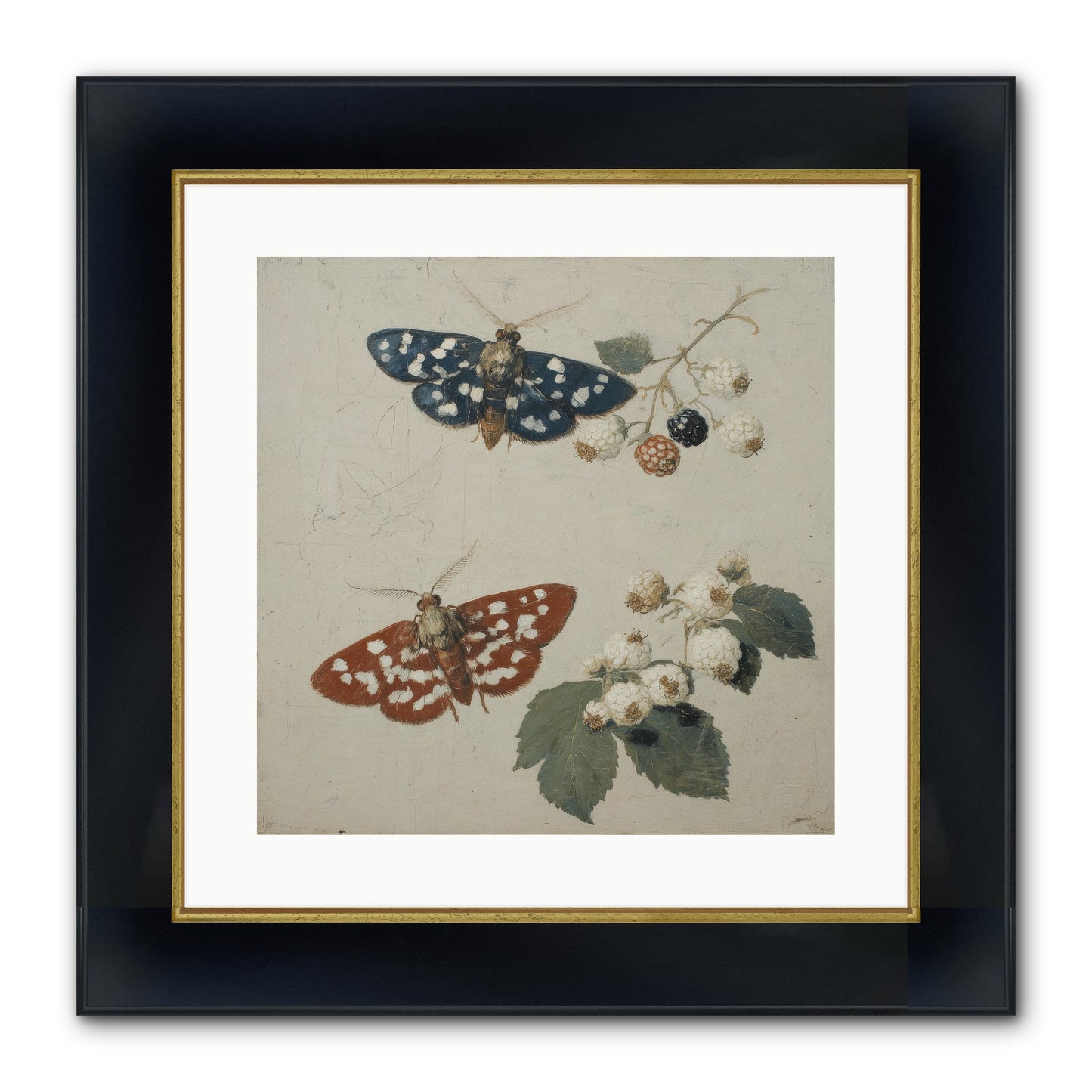 The Thickets Whispered Tales Framed Print - Wide Black w/Gold 16x16